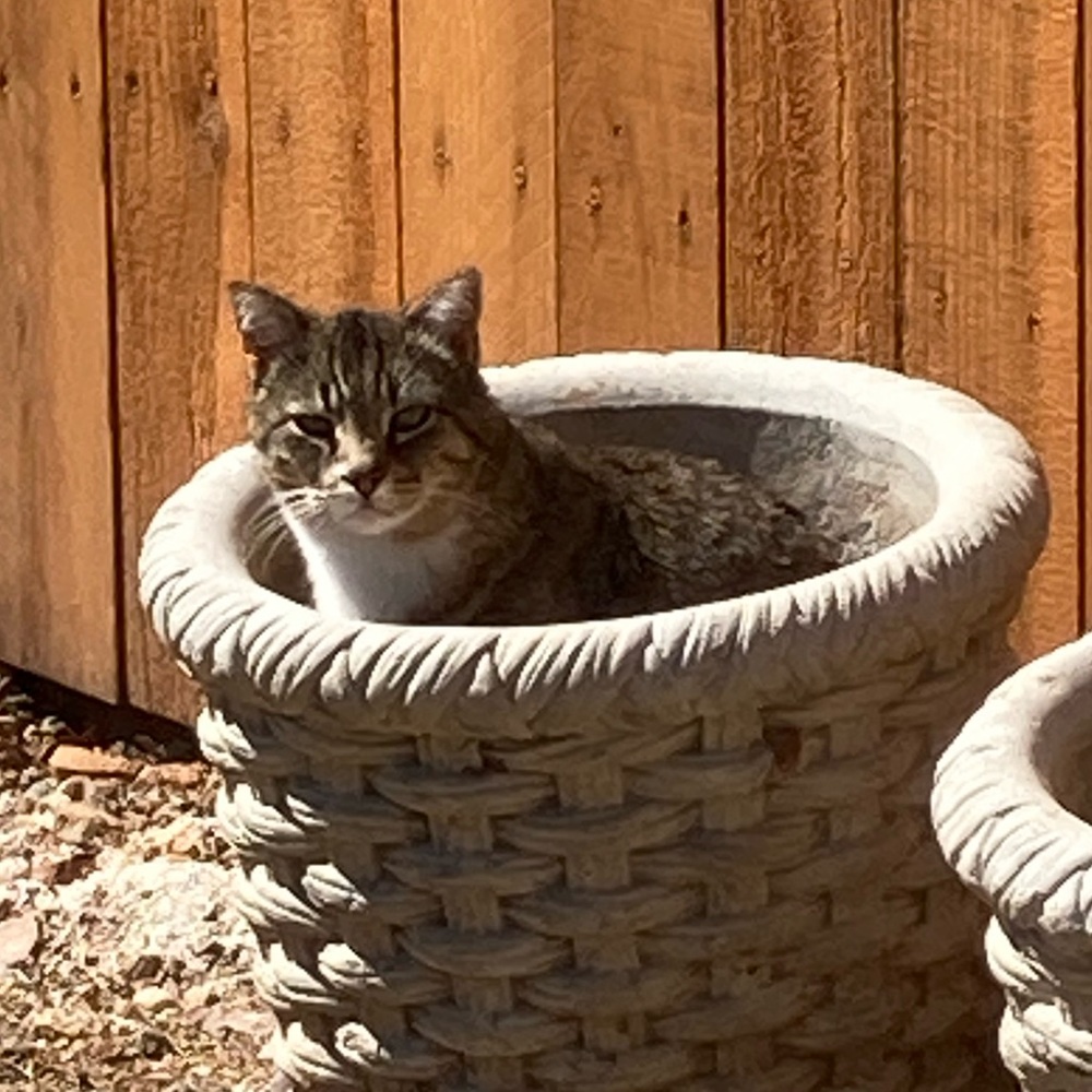 Meet your Posher, Noemi